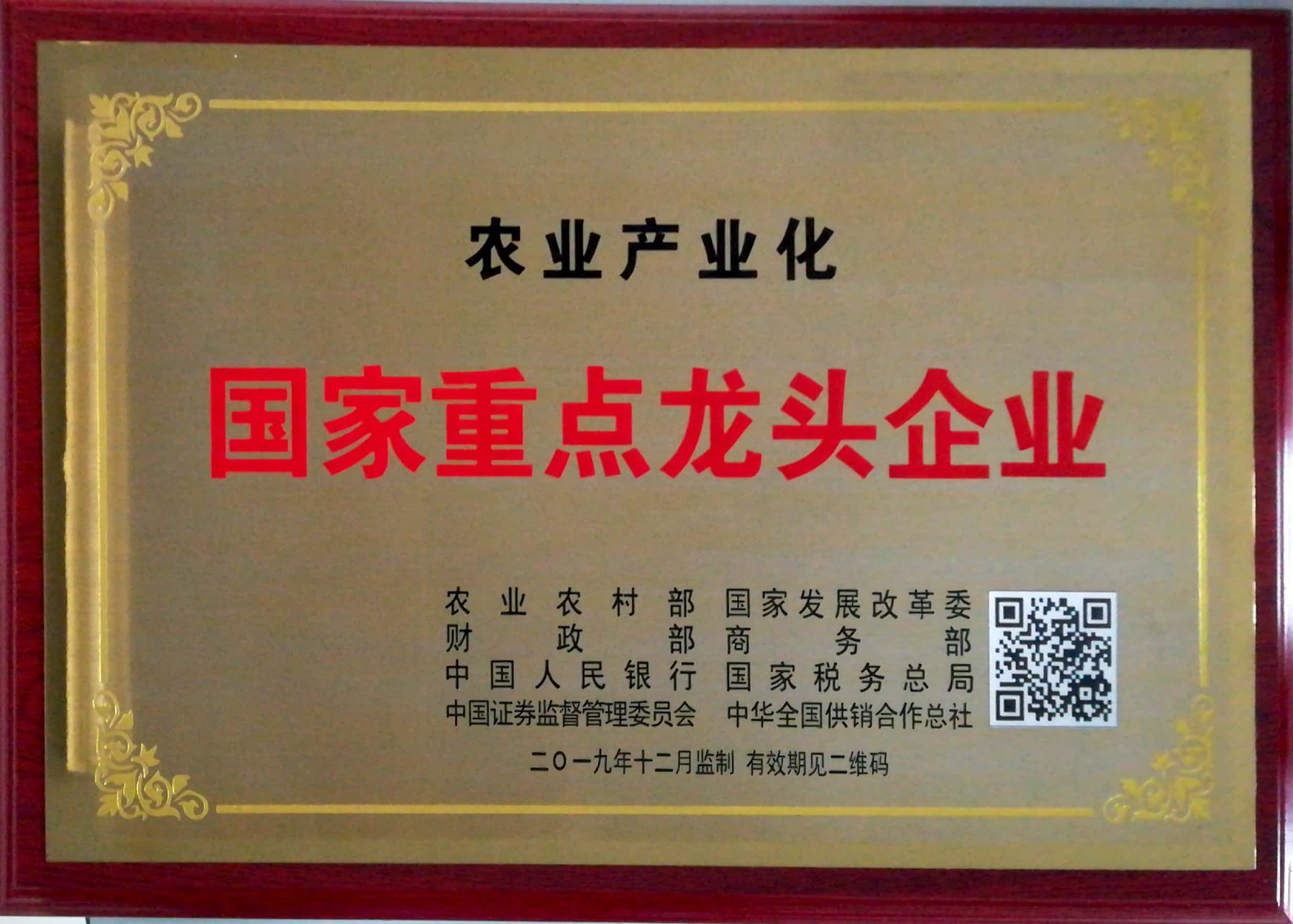 新國家龍頭企業